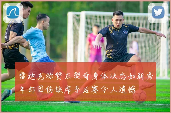 雷迪克称赞东契奇身体状态如新秀年却因伤缺席季后赛令人遗憾